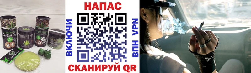 наркошоп  Гаджиево  OMG   Печенье с ТГК конопля 